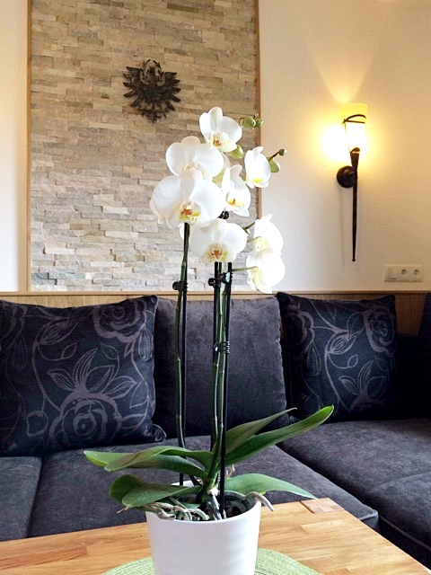 Ferienwohnung Tirol – Ansicht